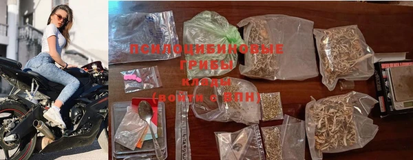соль ск Бугульма